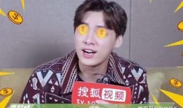 吃瓜星娱乐王鹤棣,吃瓜星娱乐界的璀璨新星