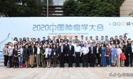 爆料河南抗癌案件最新,揭开医疗乱象背后的真相