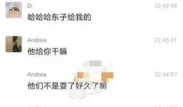 公务员美女被爆料视频,真相与争议