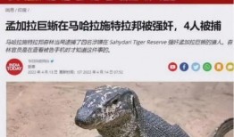 印度巨蜥爆料新闻最新版,揭秘神秘生物的生存现状与挑战